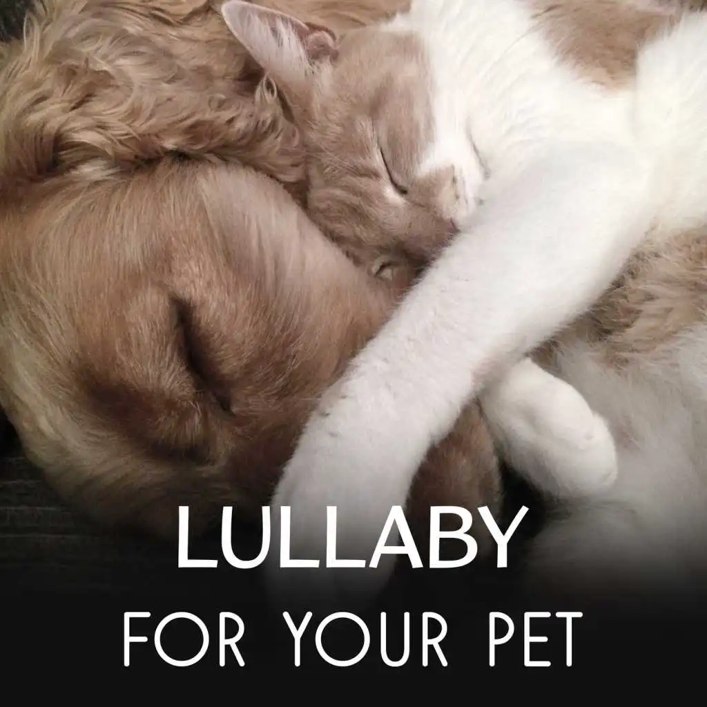 Lullaby for Your Pet - Relaxing Music for Dogs & Cats, Calming Sounds to Reduce Stress of Animals, Music Therapy for Pets Comfort & Happiness