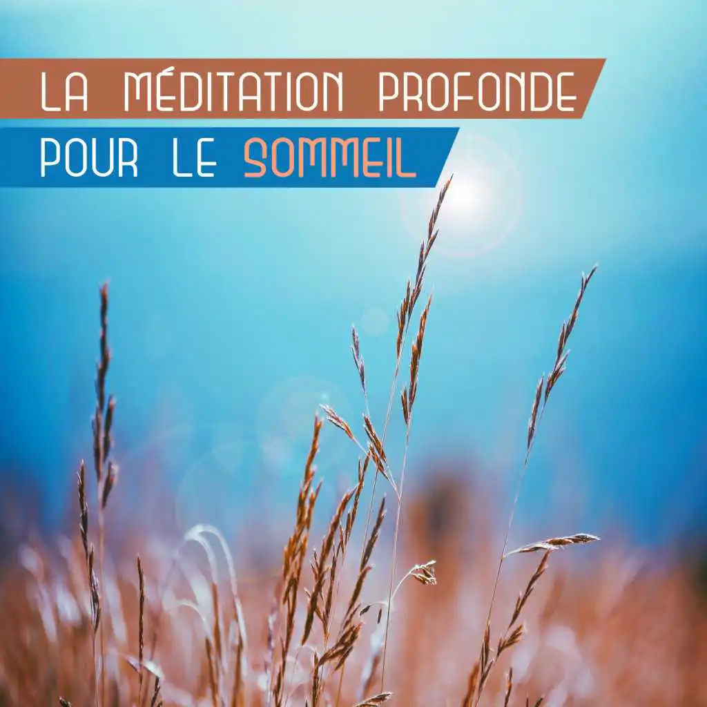 La méditation profonde pour le sommeil: Connexion esprit-corps, l'auto-hypnose, soulagement du stress, cure insomnie, soins de la nature