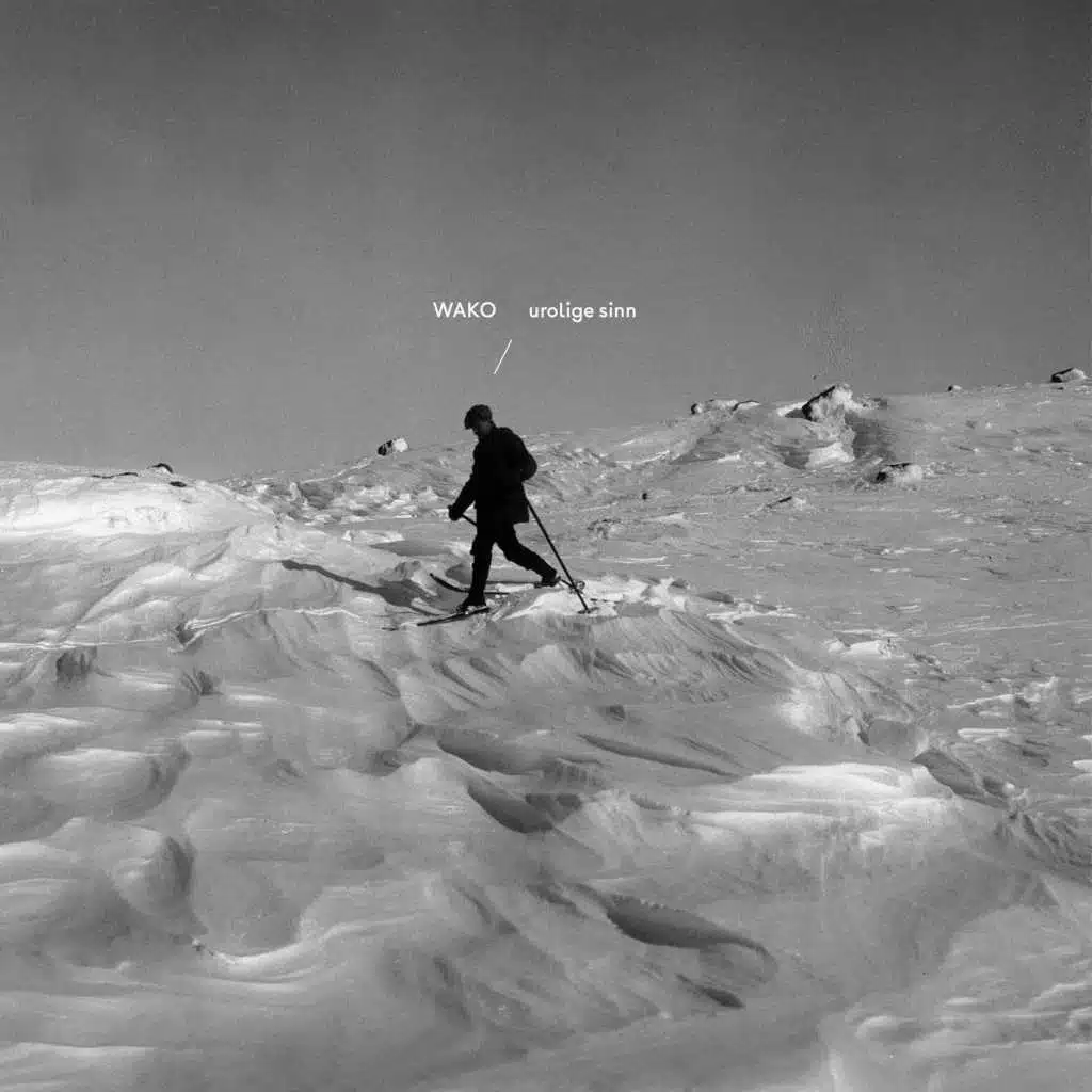 Skumring og det som hører til (feat. Simon Olderskog Albertsen, Bárður Reinert Poulsen, Martin Myhre Olsen & Kjetil Mulelid)