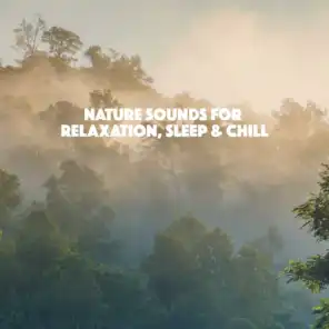 Nature Sounds for Relaxation, Sleep & Chill