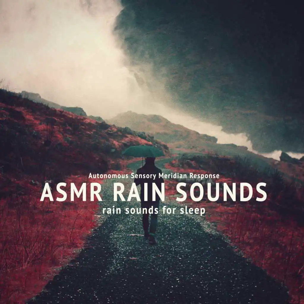 Rain Sounds: Background Ambience