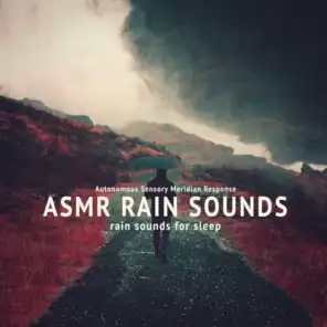Rain Sounds: Calm Night