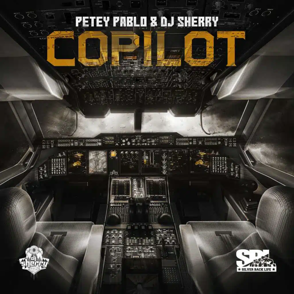 Copilot (Main Acapella)