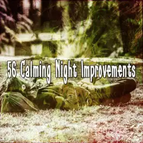 56 Calming Night Improvements