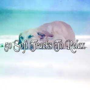 50 Soft Tracks To Relax