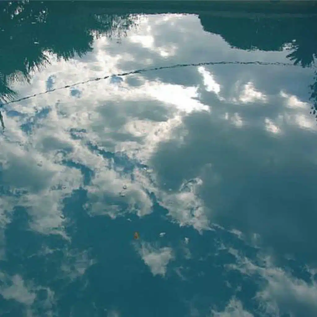 Past, Present, Future