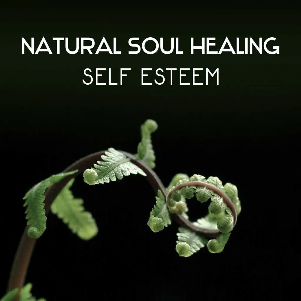 Natural Soul Healing – Self Esteem, Reiki Music, Relaxing Nature Soundscapes, Meditation Techniques, Body & Soul Harmony, Zen New Age Music Therapy