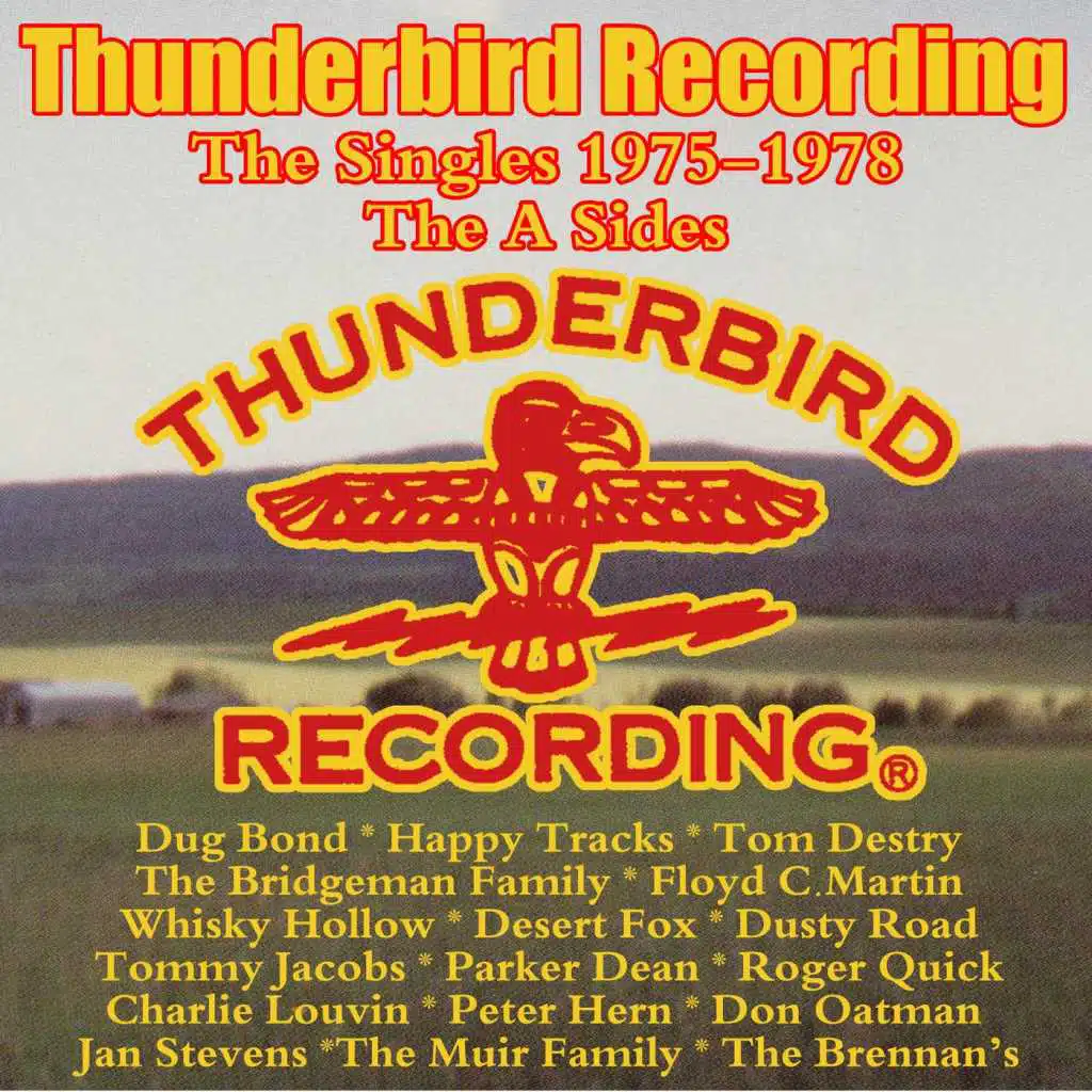 Thunderbird Recordings, the Singles 1975 - 1978: The A-Sides