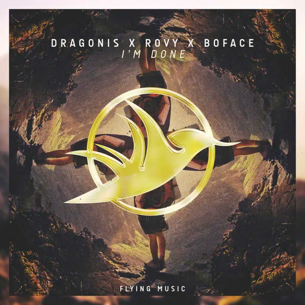 Dragonis, Rovy, Boface