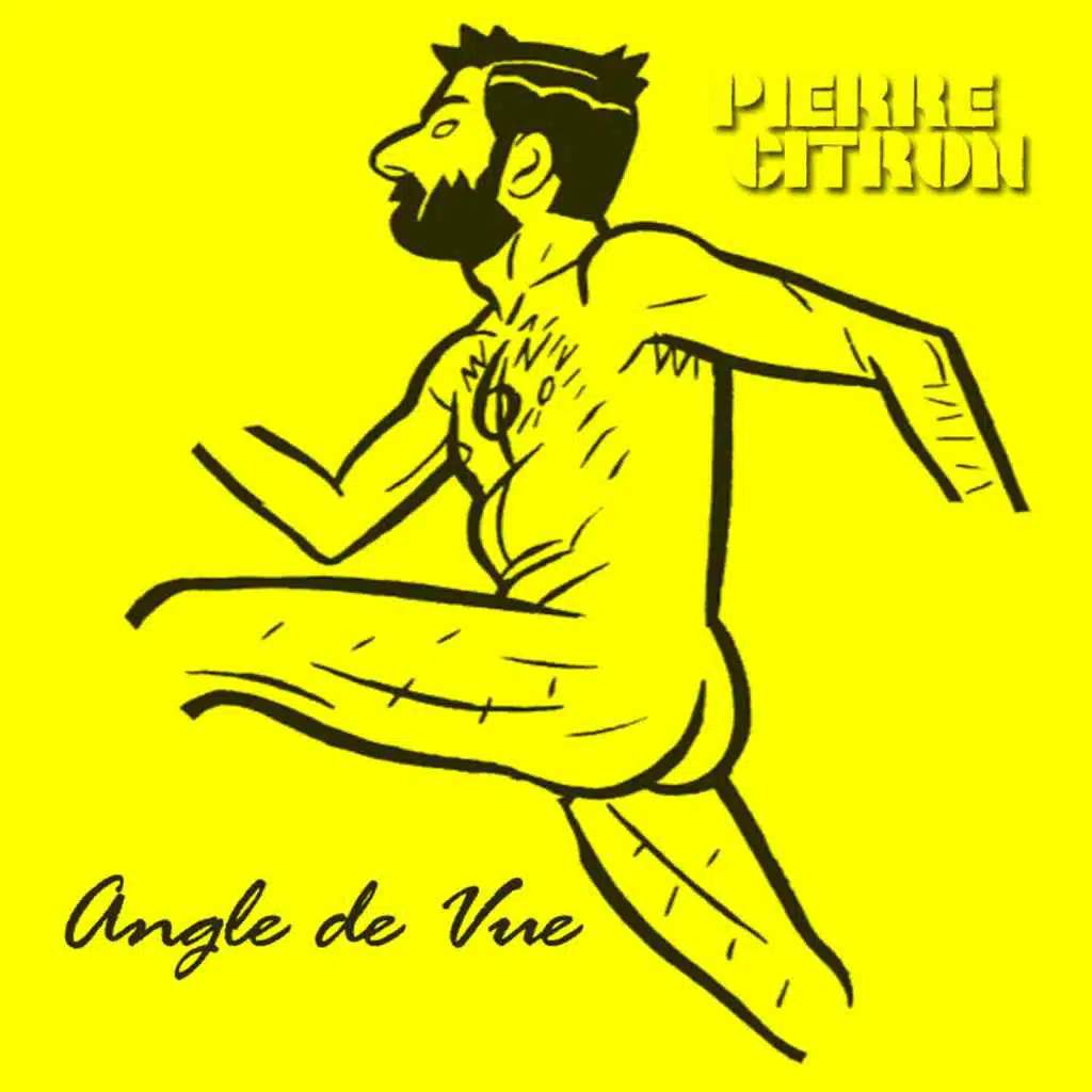 Angle de vue