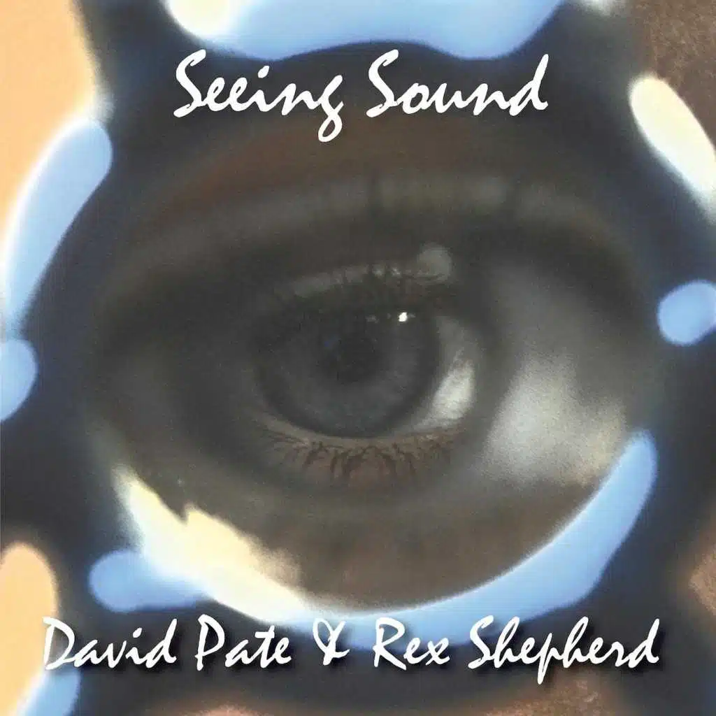Seeing Sound