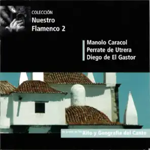 Nuestro Flamenco (En Directo) (Vol.2)