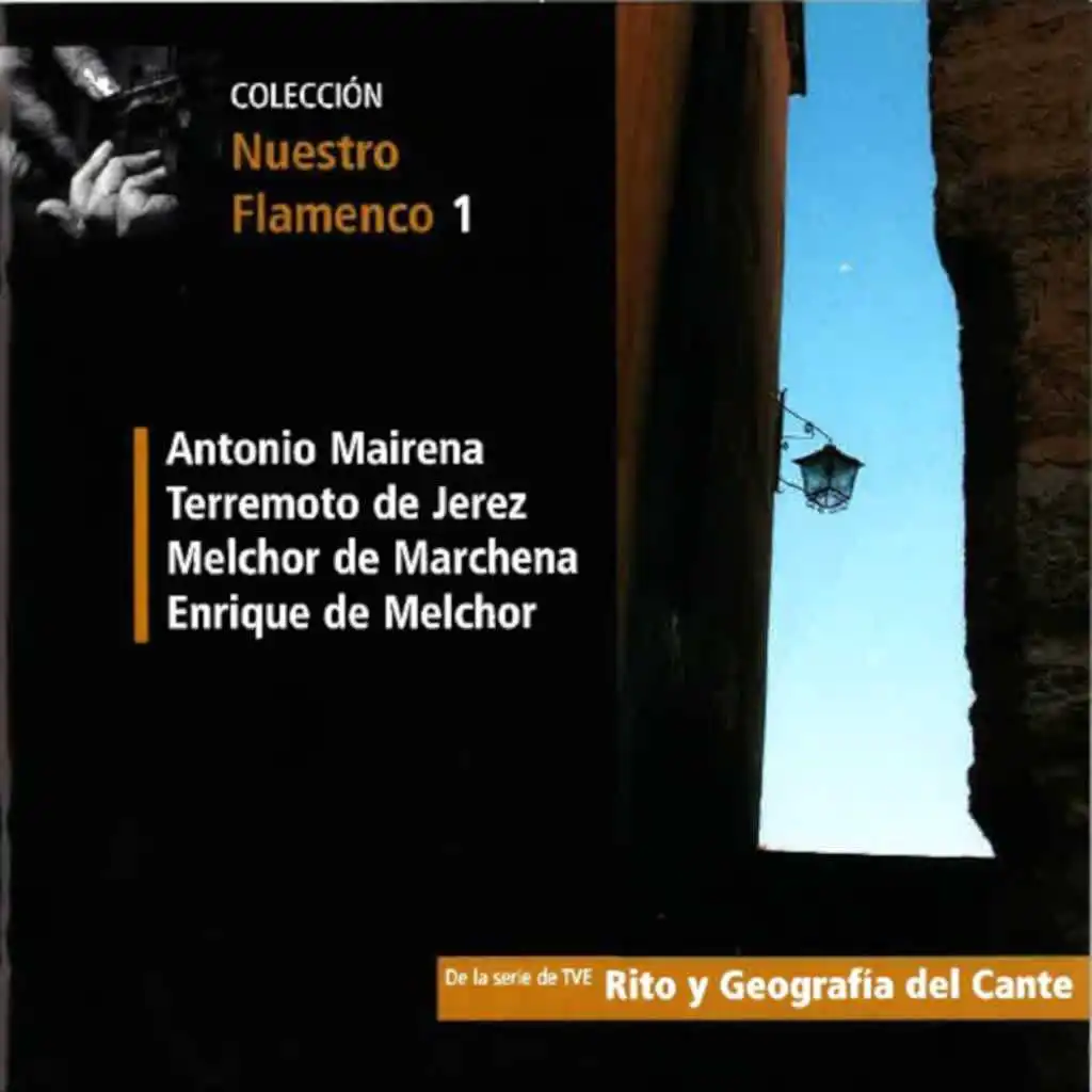Nuestro Flamenco (Música Original de la Serie de TV) (En Directo) (Vol. 1)