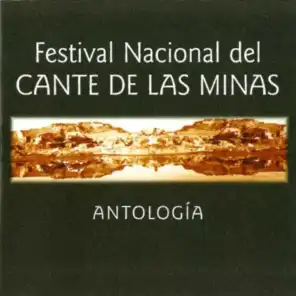 Festival Nacional del Cante de las Minas: Antología (Live)
