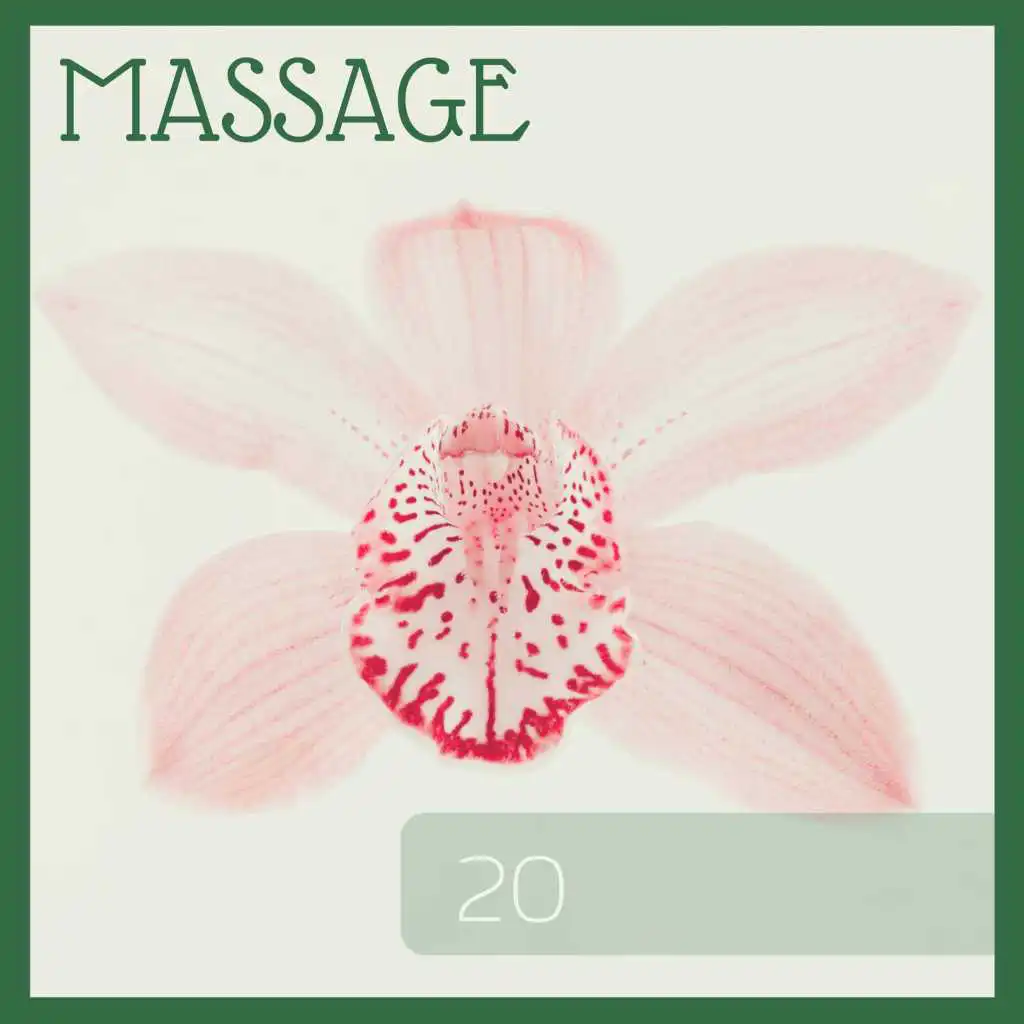 Massage 20 - Relaxing Music for The Therapy Room