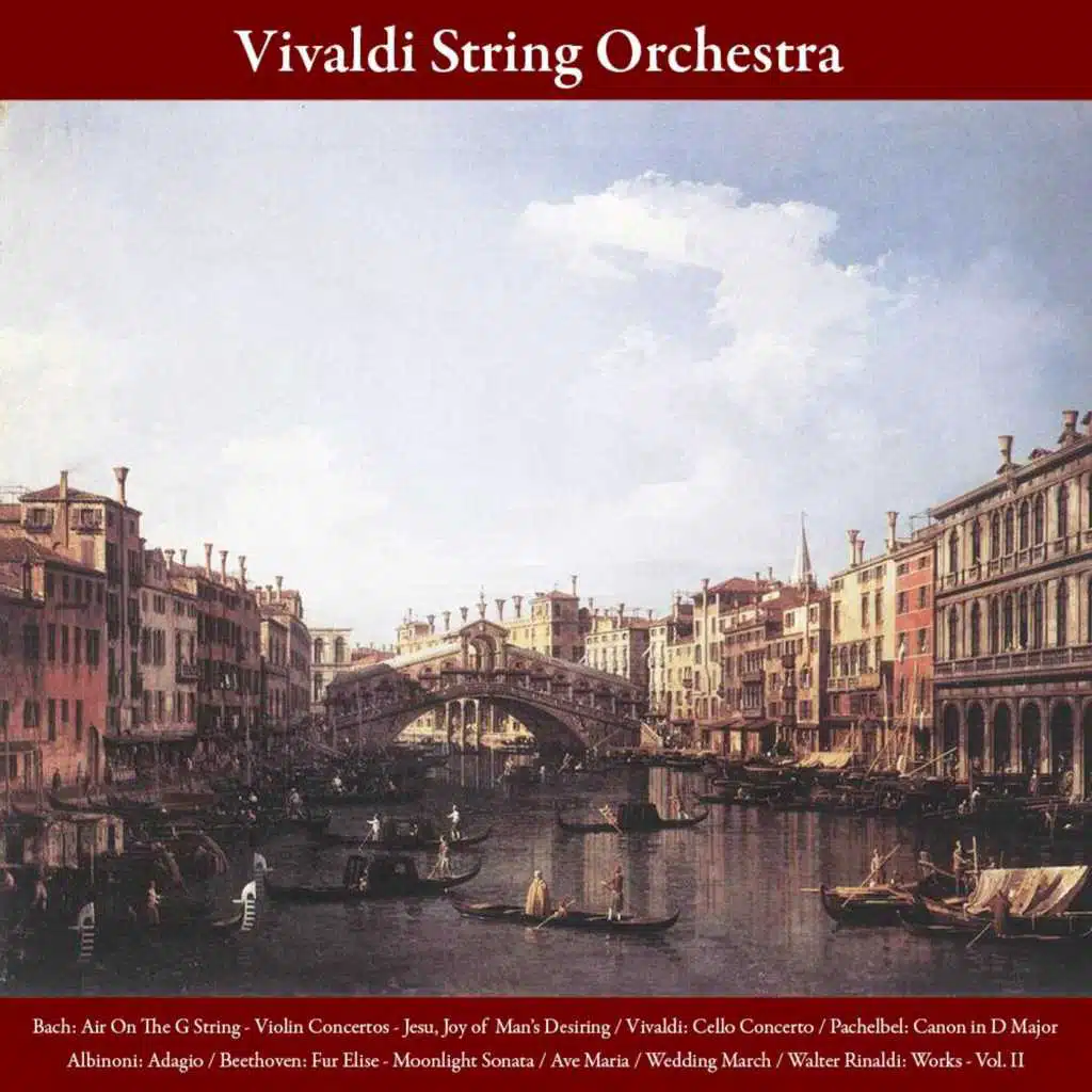 Vivaldi String Orchestra