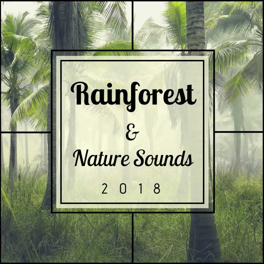 Rainforest & Nature Sounds 2018 - Relaxation with Rain Sounds and Relaxing Music