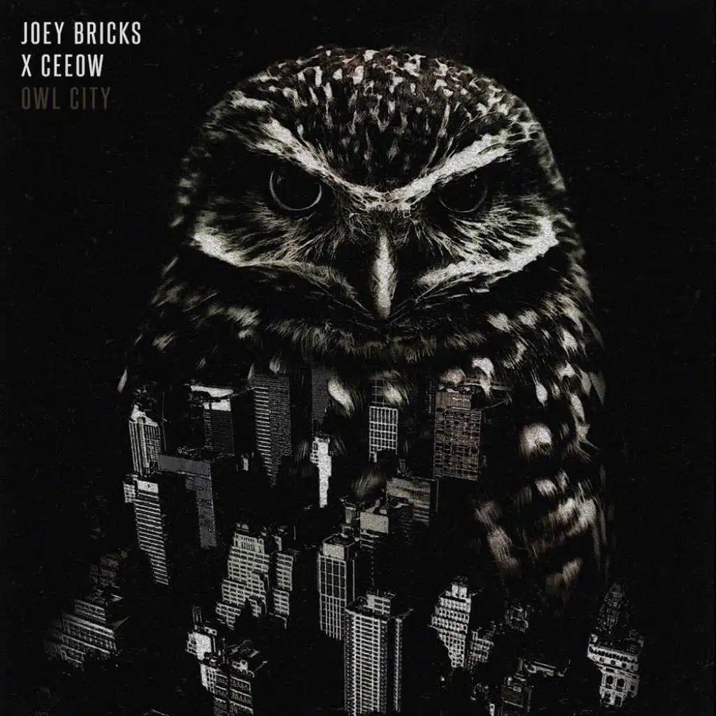 Owl City (feat. Ceeow)