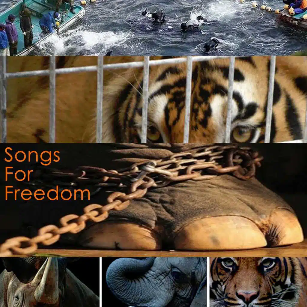 Songs For Freedom