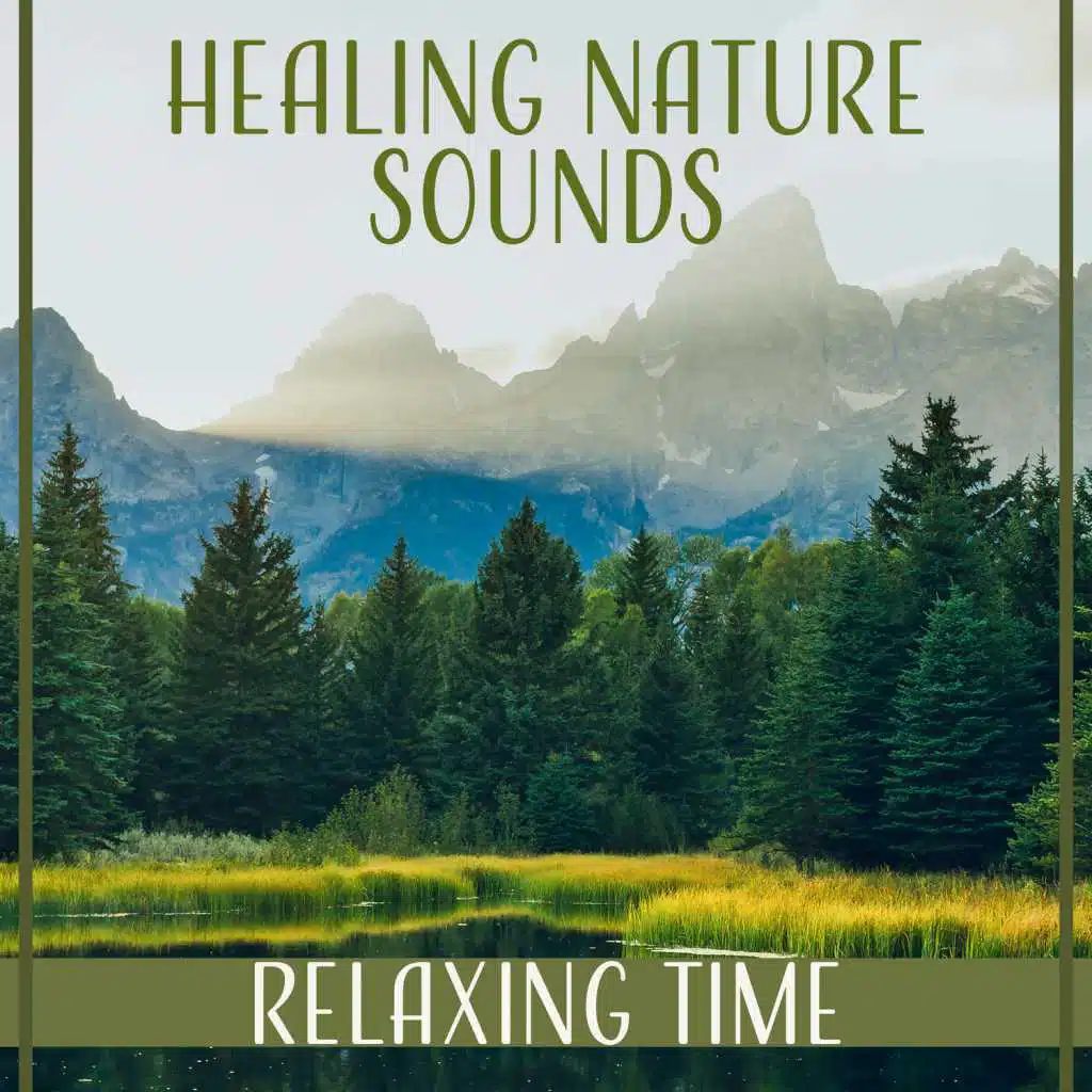 Healing Nature Sounds: Relaxing Time for Mindfulness Meditation, Serenity Music, Ocean Waves, Birds