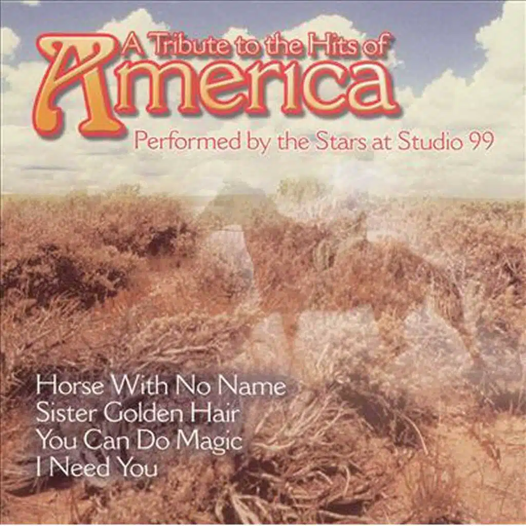 A Tribute To The Hits of America