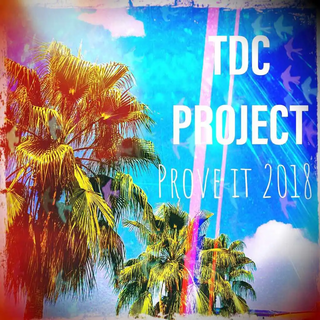 Tdc Project