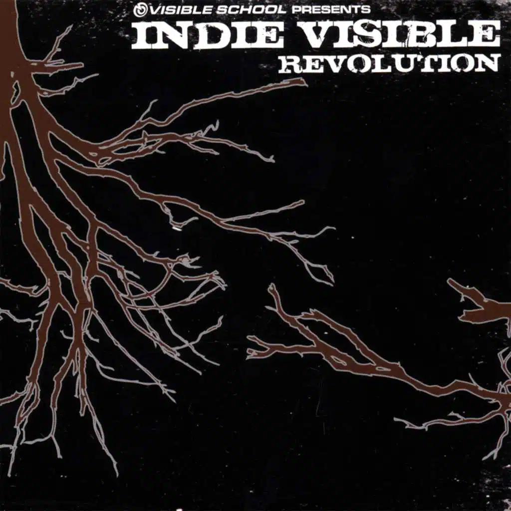 Visible School Presents