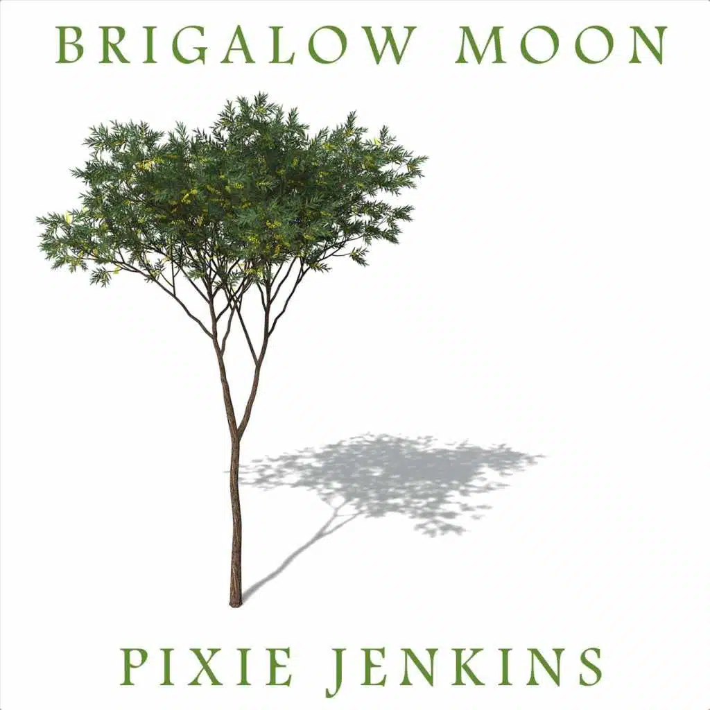 Brigalow Moon