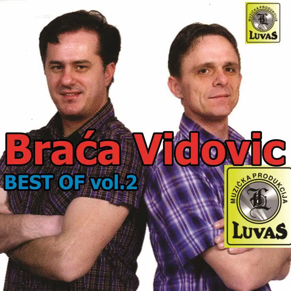 Braca Vidovic Best of vol. 2