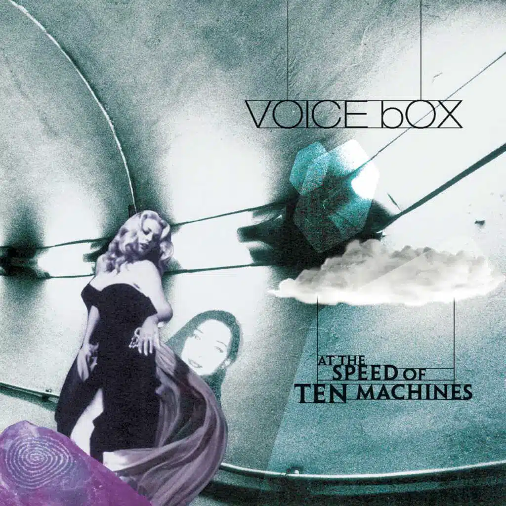 Voice Box