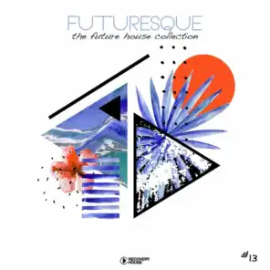 Futuresque - The Future House Collection, Vol. 13