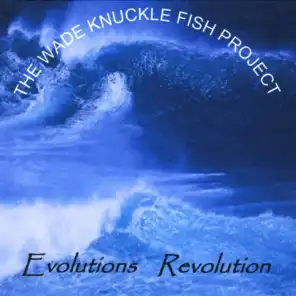 Evolutions Revolution