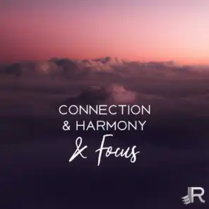 Connection & Harmony & Focus