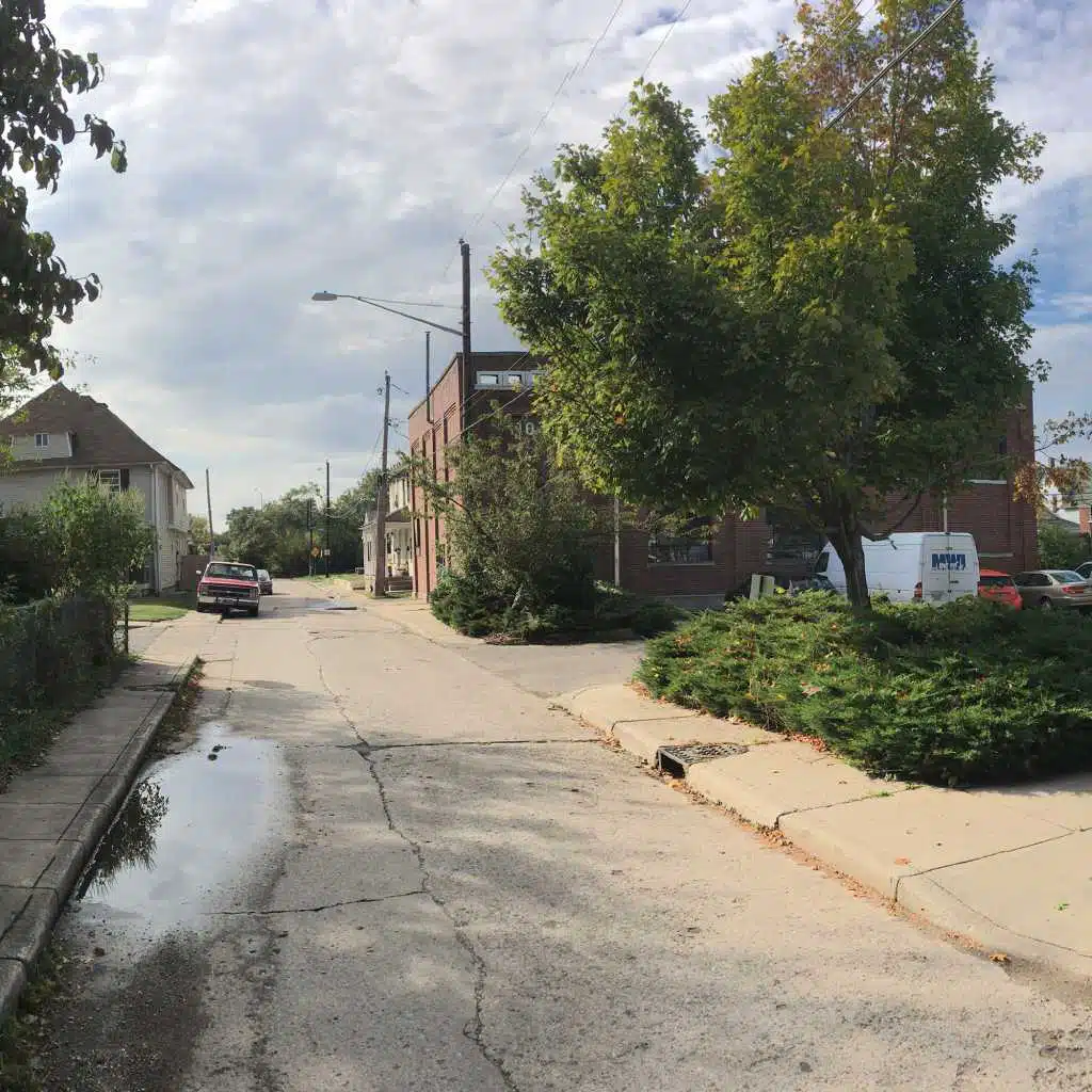 CJ Boyd, Sedcairn Archives, Sir Deja Doog, Chris Barth, Liz Janes & Brett Siler