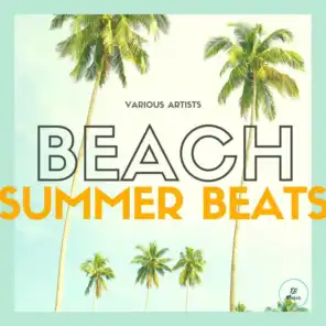 Back to Summer (Sunshine Mix)