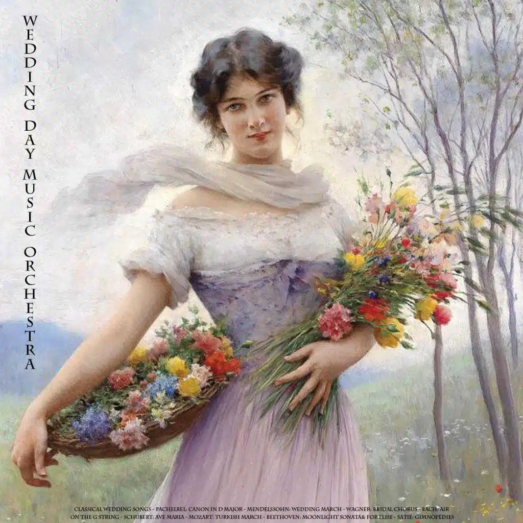 Wedding Day Music Orchestra