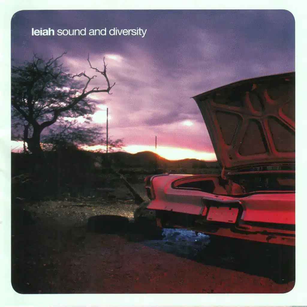 Sound and Diversity