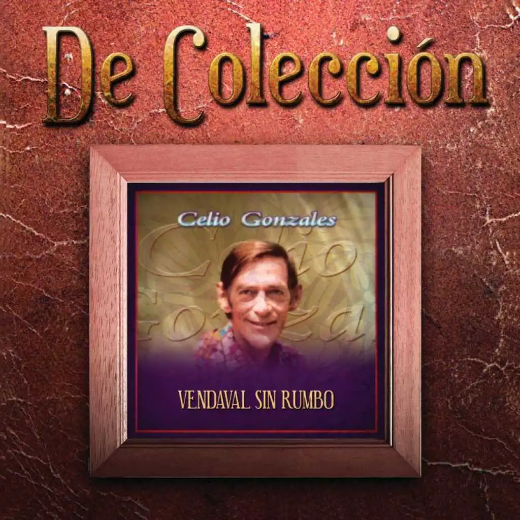 Vendaval Sin Rumbo (De Colección)