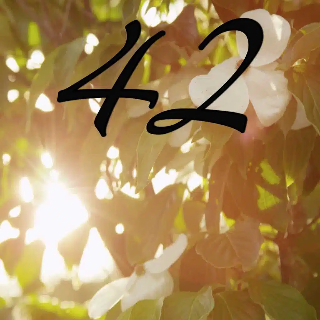 42 - Tribute to Mumford And Sons