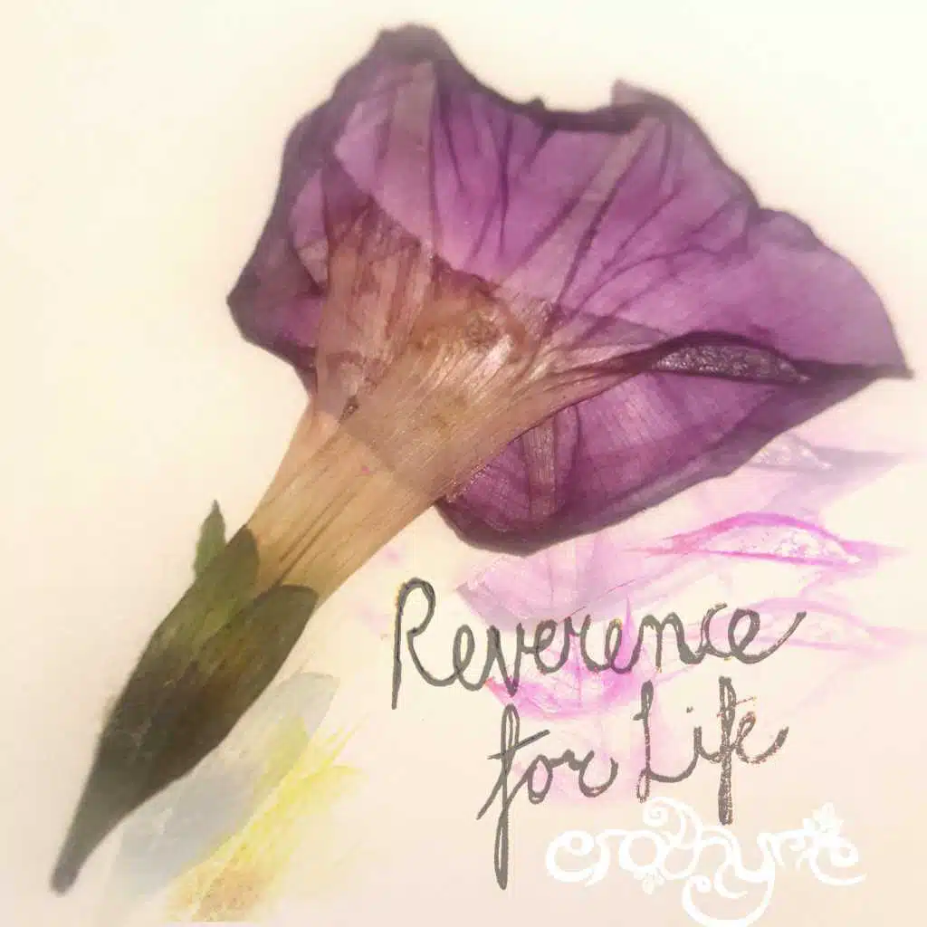 Reverence for Life