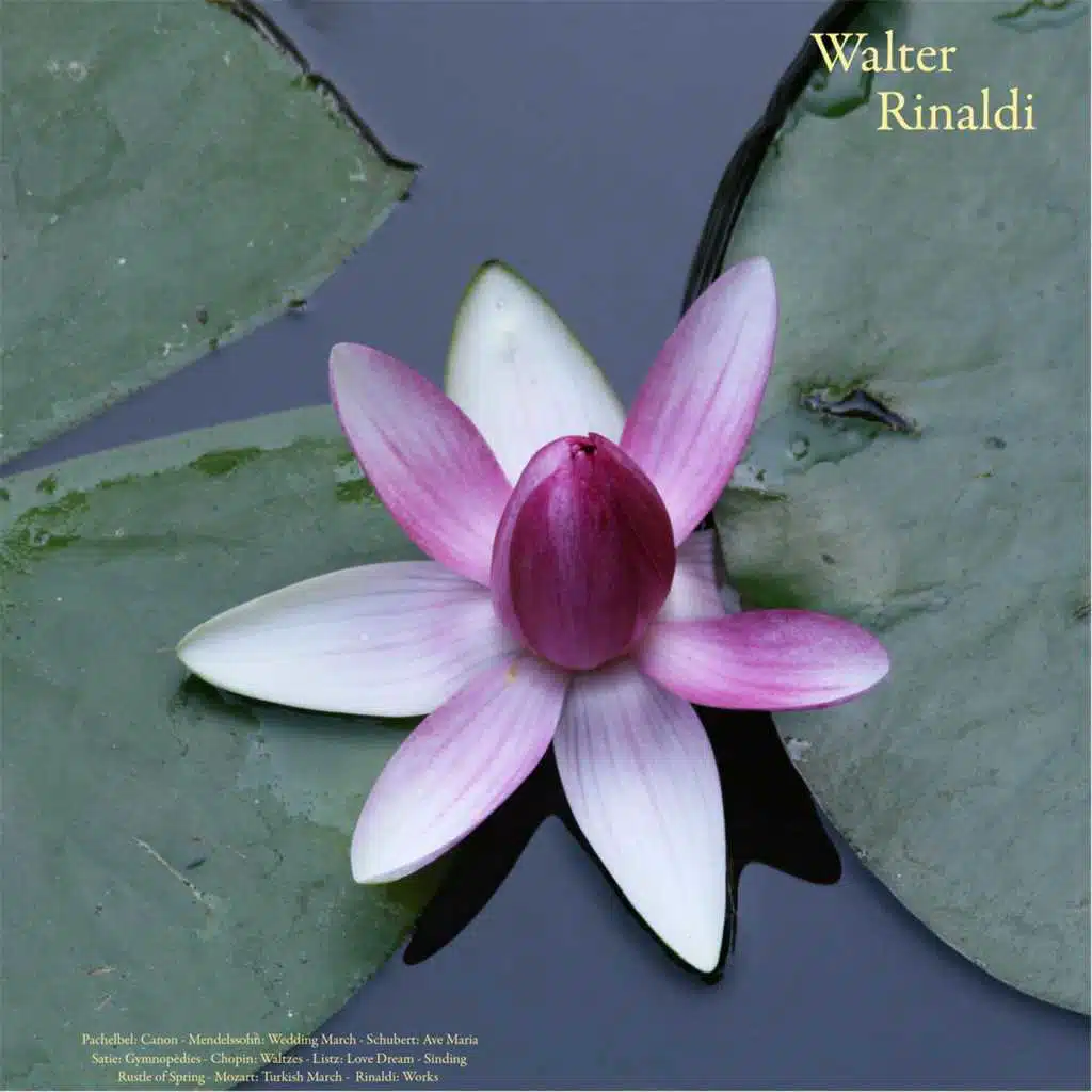 A Midsummer Night's Dream, Op. 61: Wedding March (for Organ)