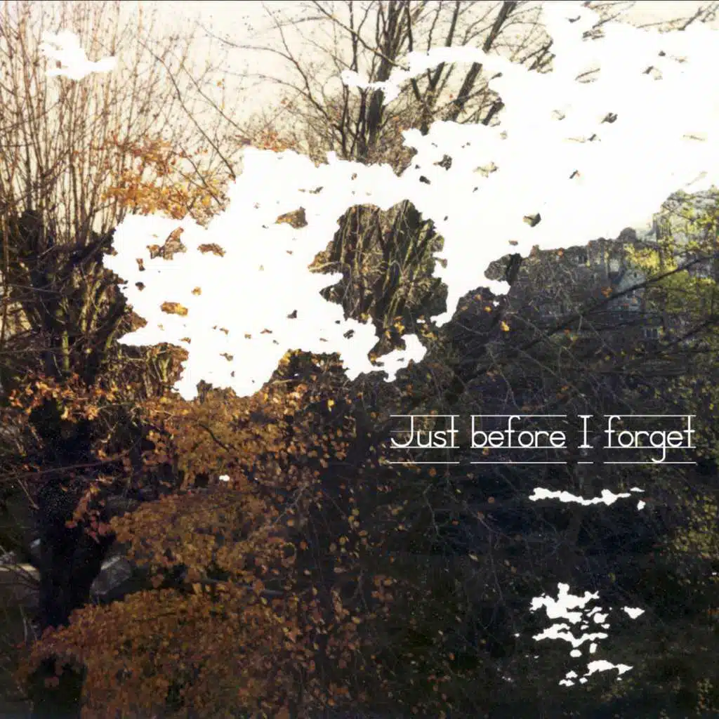 Just Before I Forget