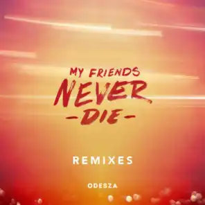 My Friends Never Die (Little People Remix)
