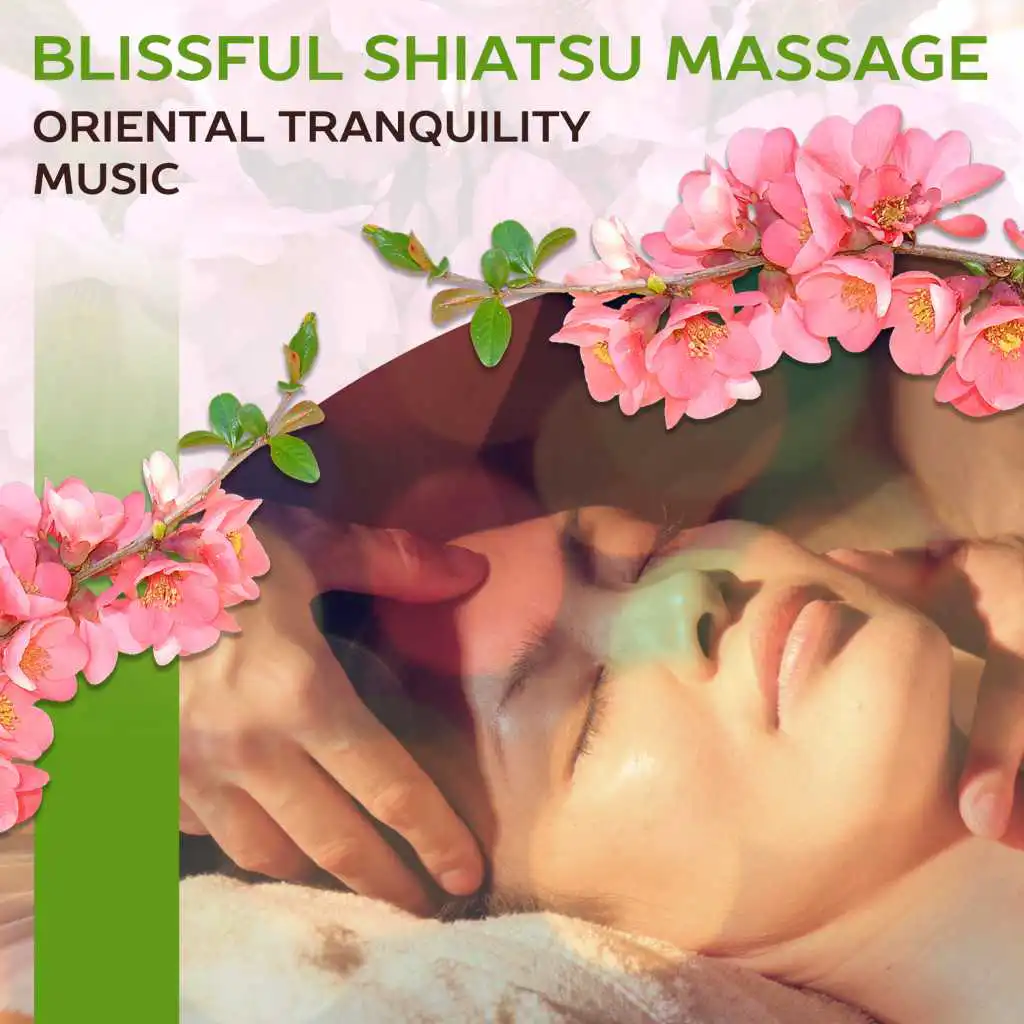 Massage Therapy (Asian Flute Music)