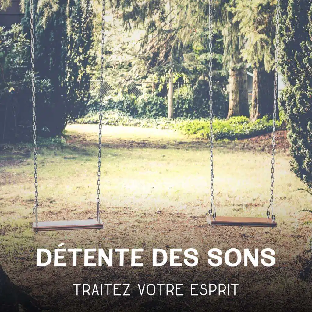 Détente des sons - Traitez votre esprit, Gardez le calme et de repos votre esprit, Repos total et de rafraîchissement, Videz votre esprit de la mauvaise énergie