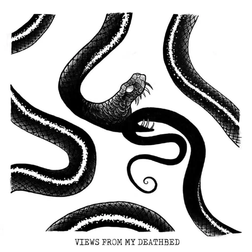 Views From My Deathbed