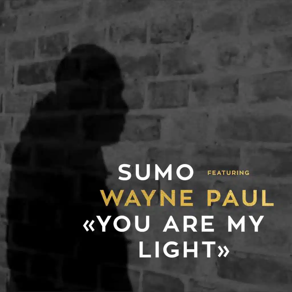 You Are My Light (feat. Wayne Paul)