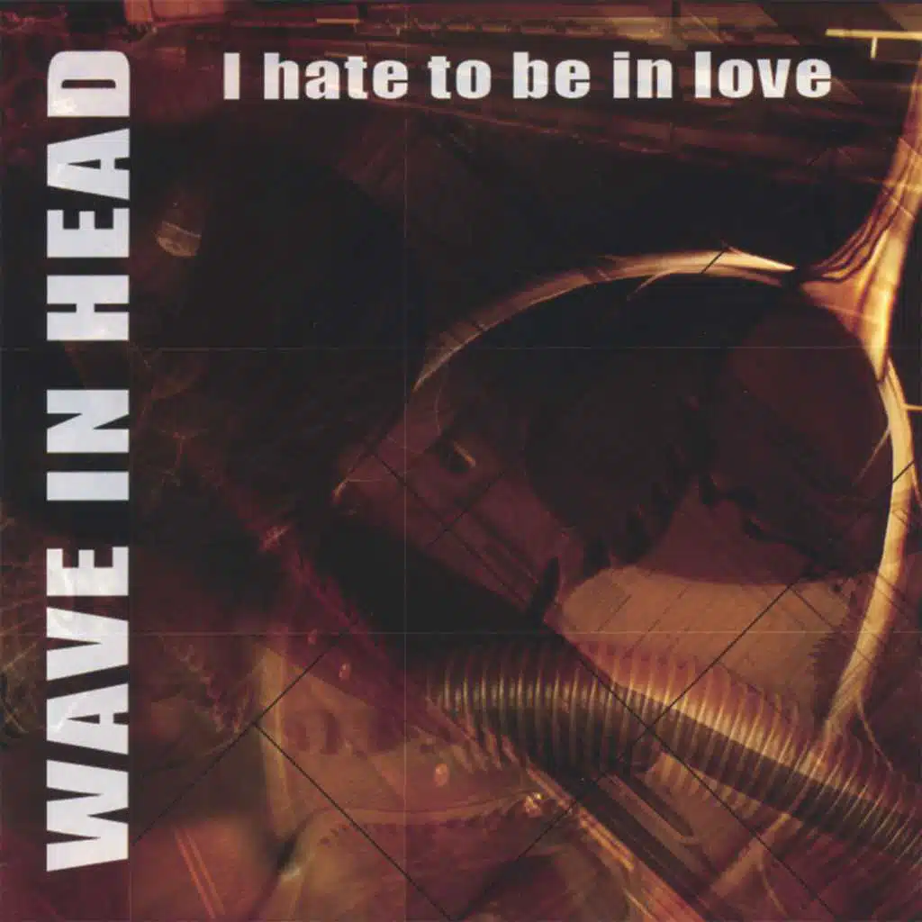 I Hate to Be In Love