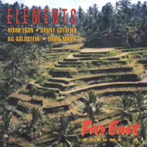Elements-Mark Egan & Danny Gottlieb
