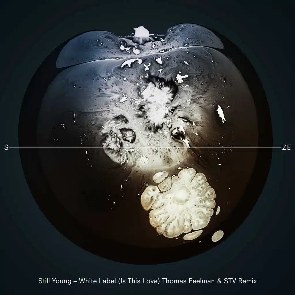 White Label (Is This Love) (Thomas Feelman & STV Remix)
